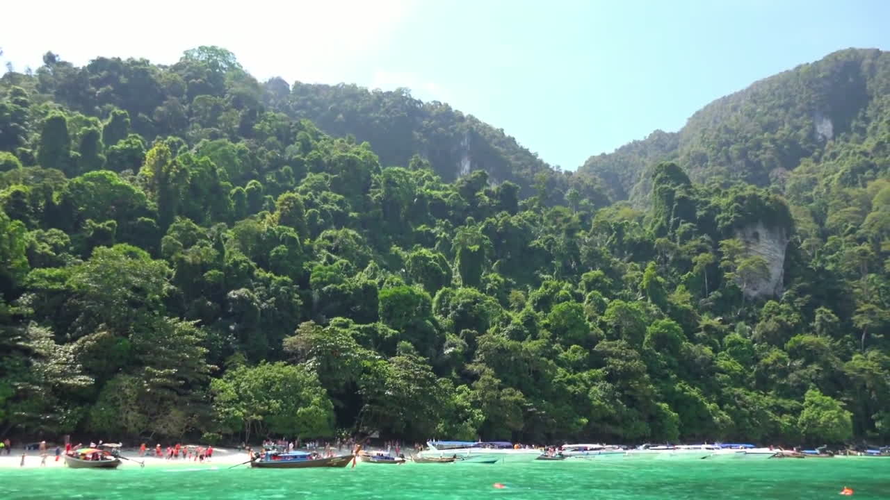 Una spiaggia tropicale dell'isola di Phi Phi. Thailandia