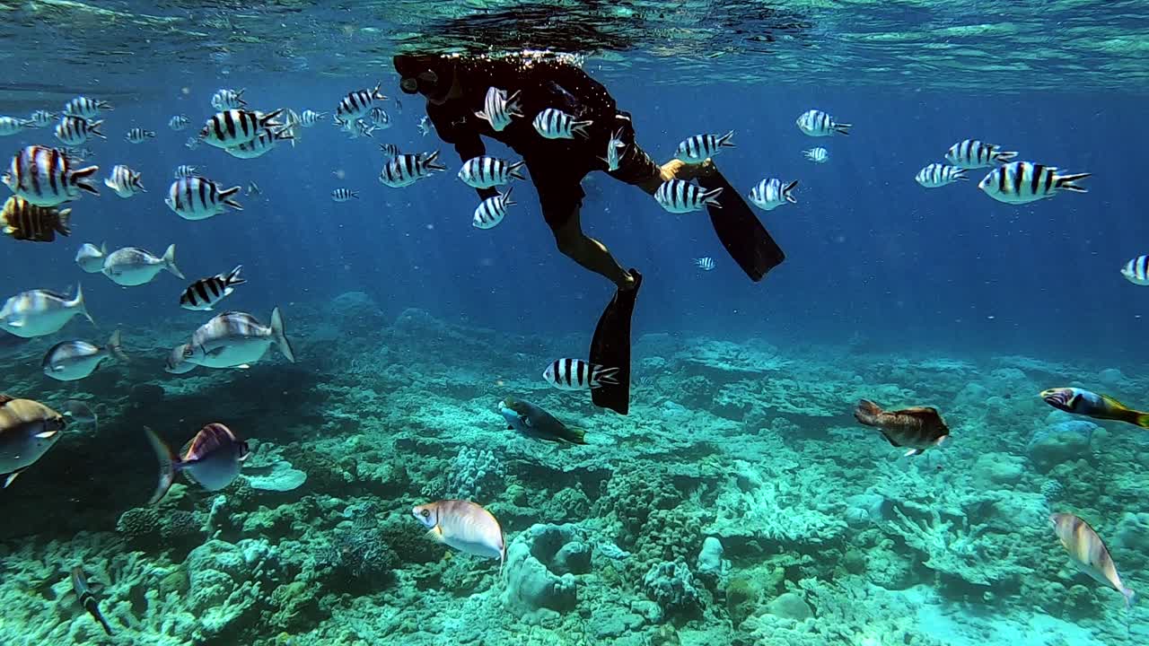 hombre buceando en un mar tropical con hermosos peces bajo el agua - toma submarina