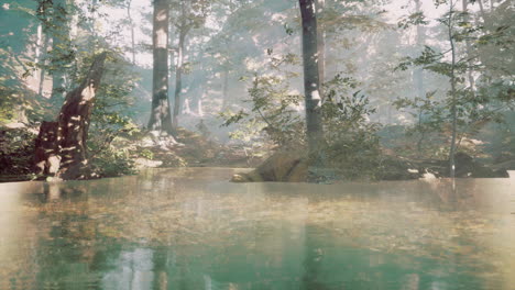 Lago-En-El-Bosque-De-Hoja-Perenne-Majestuoso-Oscuro