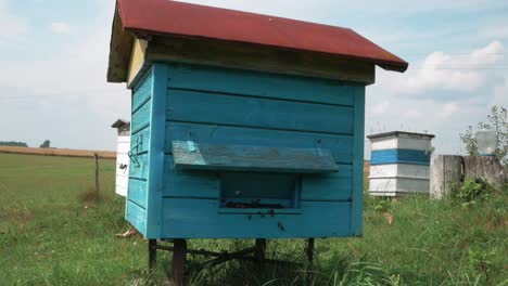 Nahaufnahme-Eines-Vollbild-Bienenstocks,-Während-Bienen-Herumfliegen
