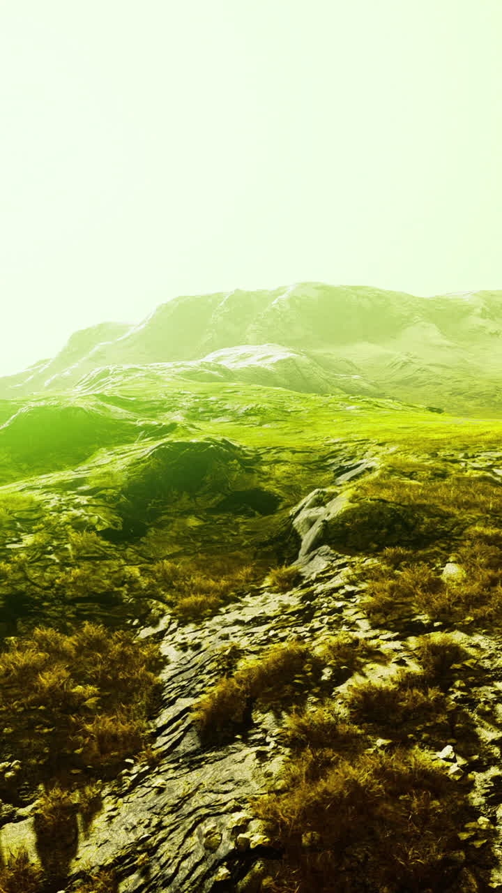 Vibrant green landscape with rocky mountains in bright light