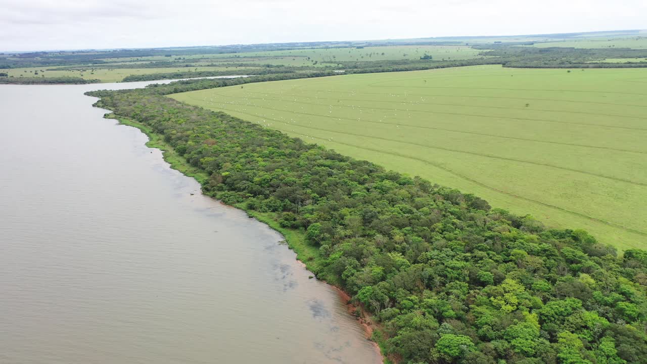vista de drones del corredor ecológico para vincular fragmentos de selva tropical, corredores de vida ar proyecto, crédito de carbono
