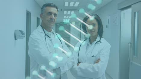 animación de la estructura del adn girando sobre diversos médicos masculinos y femeninos de pie en el hospital