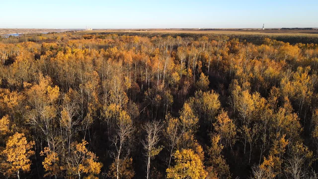 drone volando hacia un gran bosque otoñal en el centro de alberta, canadá