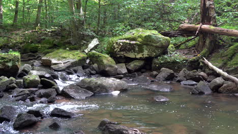 A-stream-in-the-beauty-of-the-lush-green-forest-in-the-summer