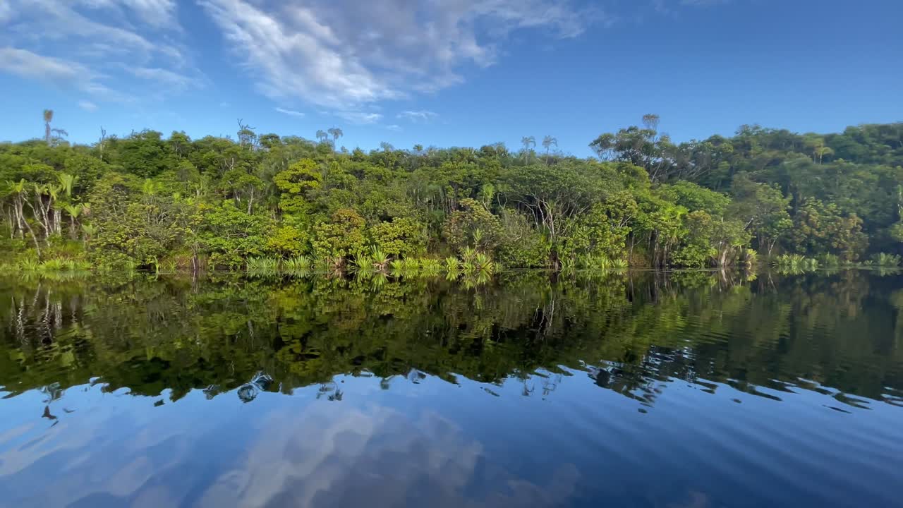 동부 마다가스카르에서 강을 올라가는 보트에서 지나가는 정글의 측면 보기