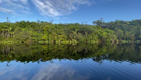 vista lateral de la jungla que pasa desde un barco que sube por el río en el este de madagascar