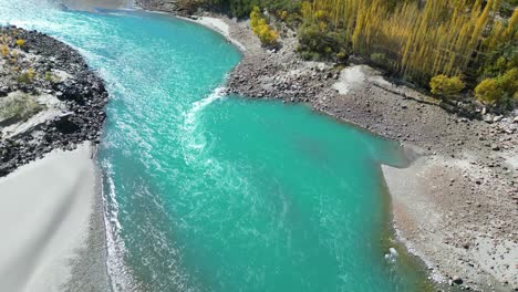 aerial view of flowing turquoise indus river with tilt up reveal of autumnal trees in skardu valley