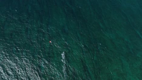 aerial: kite surfer speeding across ho'okipa beach on the north shore of maui