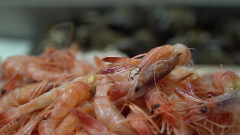 prawns on the market