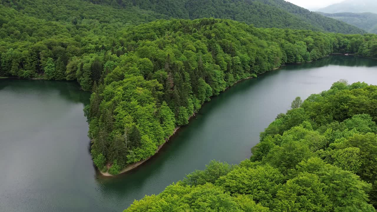 Biogradska Gora National Park glacial lake and old forest habitat, drone