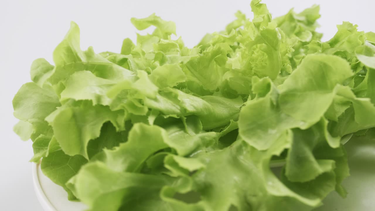 la lechuga fresca de roble verde plantada al estilo hidropónico está bellamente colocada y gira lentamente