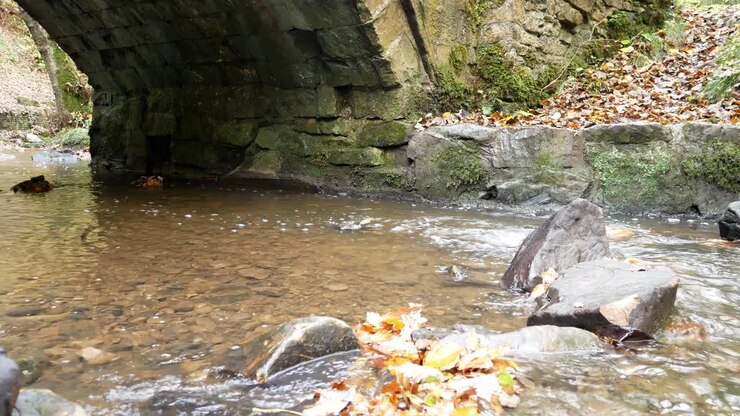 Flowing Autumn woodland forest stream low dolly right under stone arch bridge wilderness foliage
