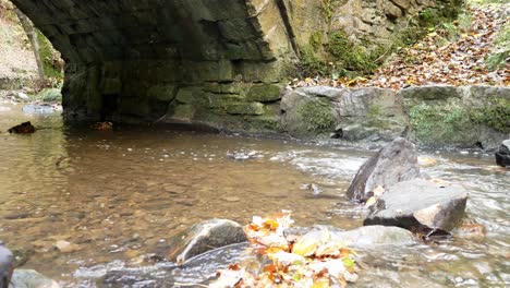 flowing autumn woodland forest stream low dolly right under stone arch bridge wilderness foliage