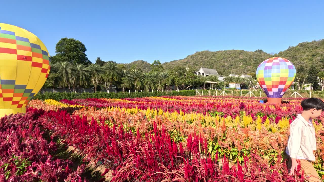 Duas crianças passeiam por um vibrante campo de flores com balões de ar coloridos em um dia ensolarado.