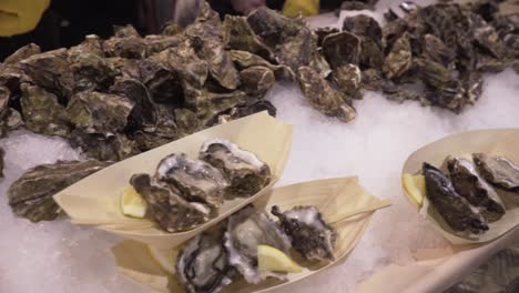 dolly shot of whole and shucked oysters on ice