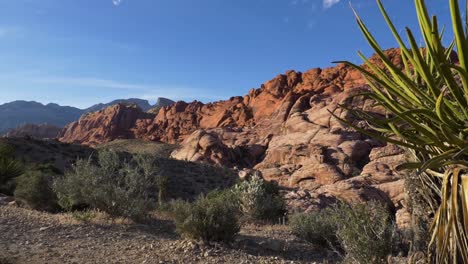 Slow-Motion-Handheld-shot-of-red-rock-canyon-in-Las-Vegas-Nevada