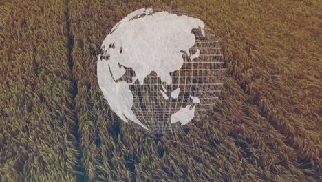 animation of globe spinning over agriculture field