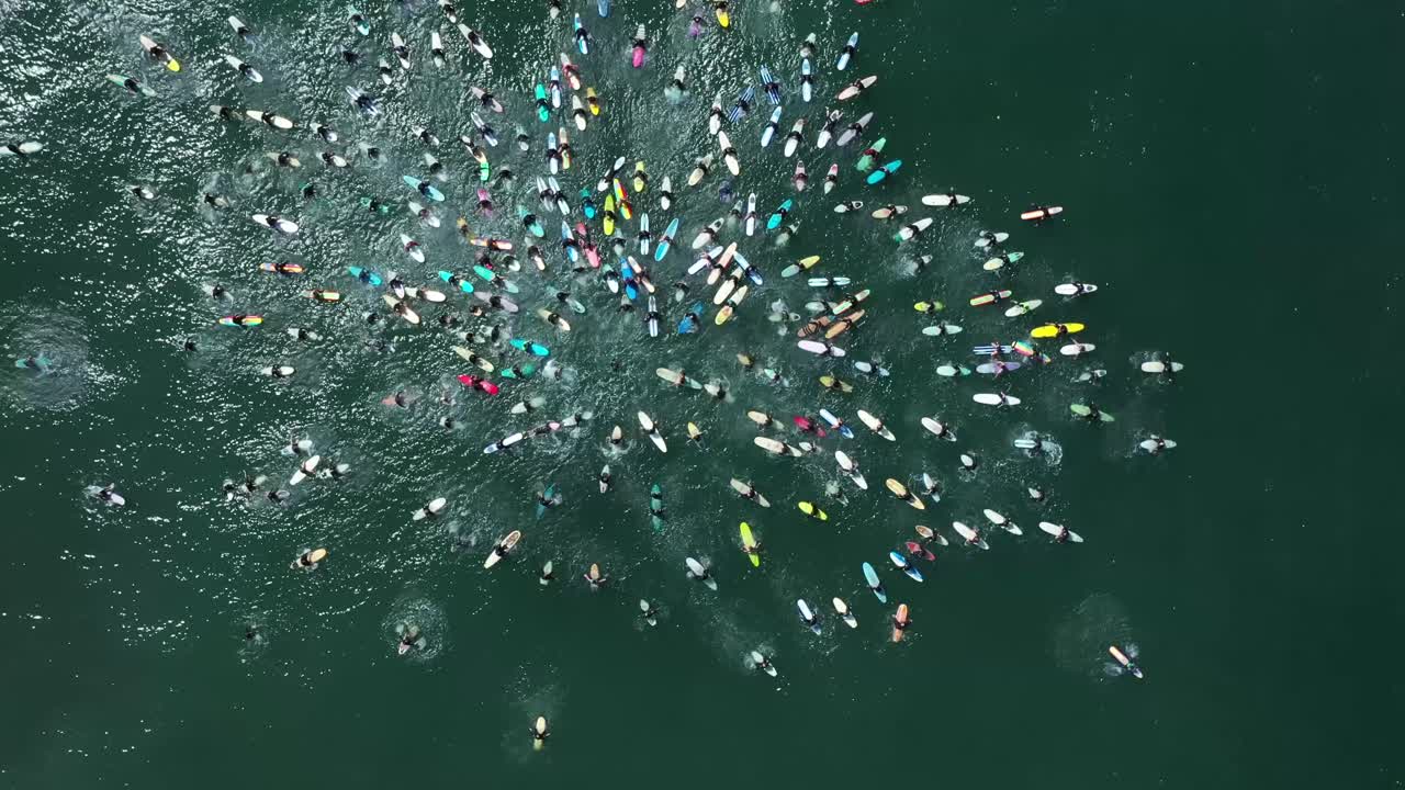 blm black lives matter paddle for freedom gare in california 3 동안 원형 서퍼들 위의 공중