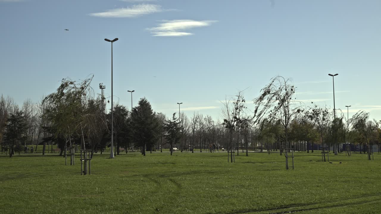 이스탄불의 말테페에 있는 나무로 가득 찬 해변 공원