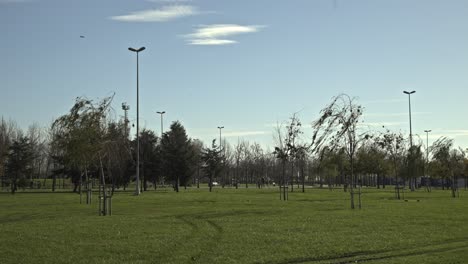 seaside park full of trees in maltepe, istanbul