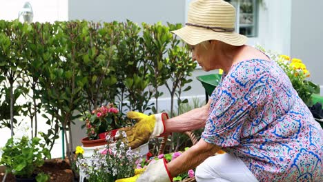 Mujer-Mayor,-Jardinería,-En-El-Jardín