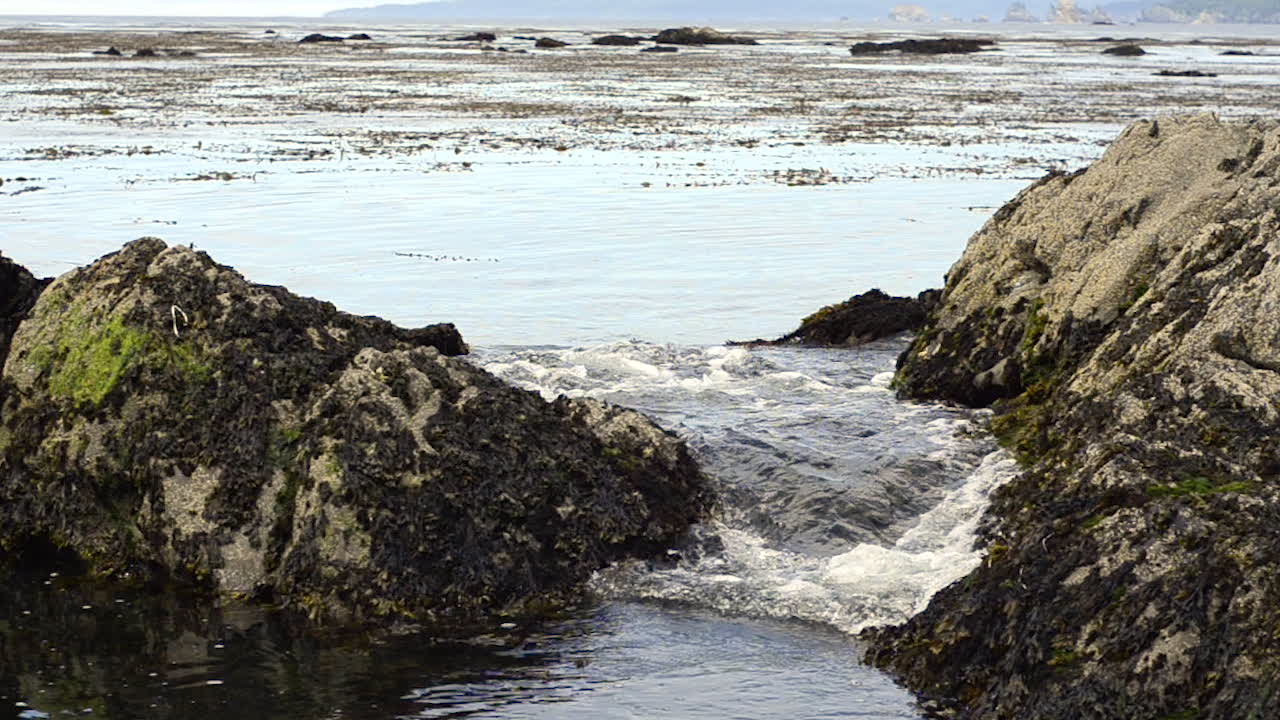 Rocky Beach with Ocean View