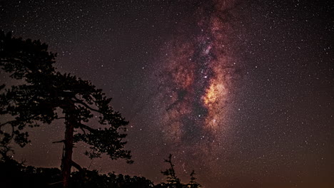 Vía-Láctea-Moviéndose-Por-El-Cielo-Nocturno-Y-Los-árboles-Al-Fondo.