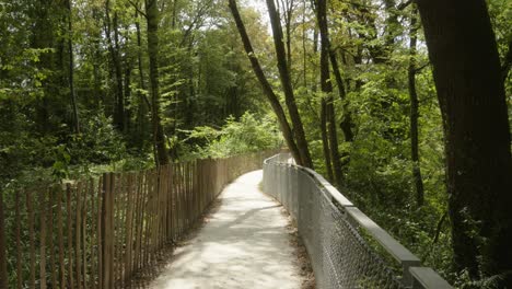 Lonely-bamboo-fenced-path-runs-through-light-green-foliage-and-trees,-the-forest