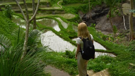 joven rubia atractiva caminando en cámara lenta por las empinadas escaleras en la selva tropical de bali con una mochila en la espalda en ubud, indonesia