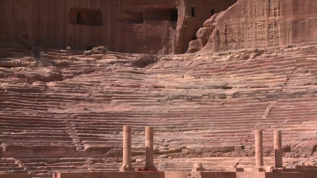 ovejas y cabras caminan alrededor del antiguo anfiteatro en petra jordania