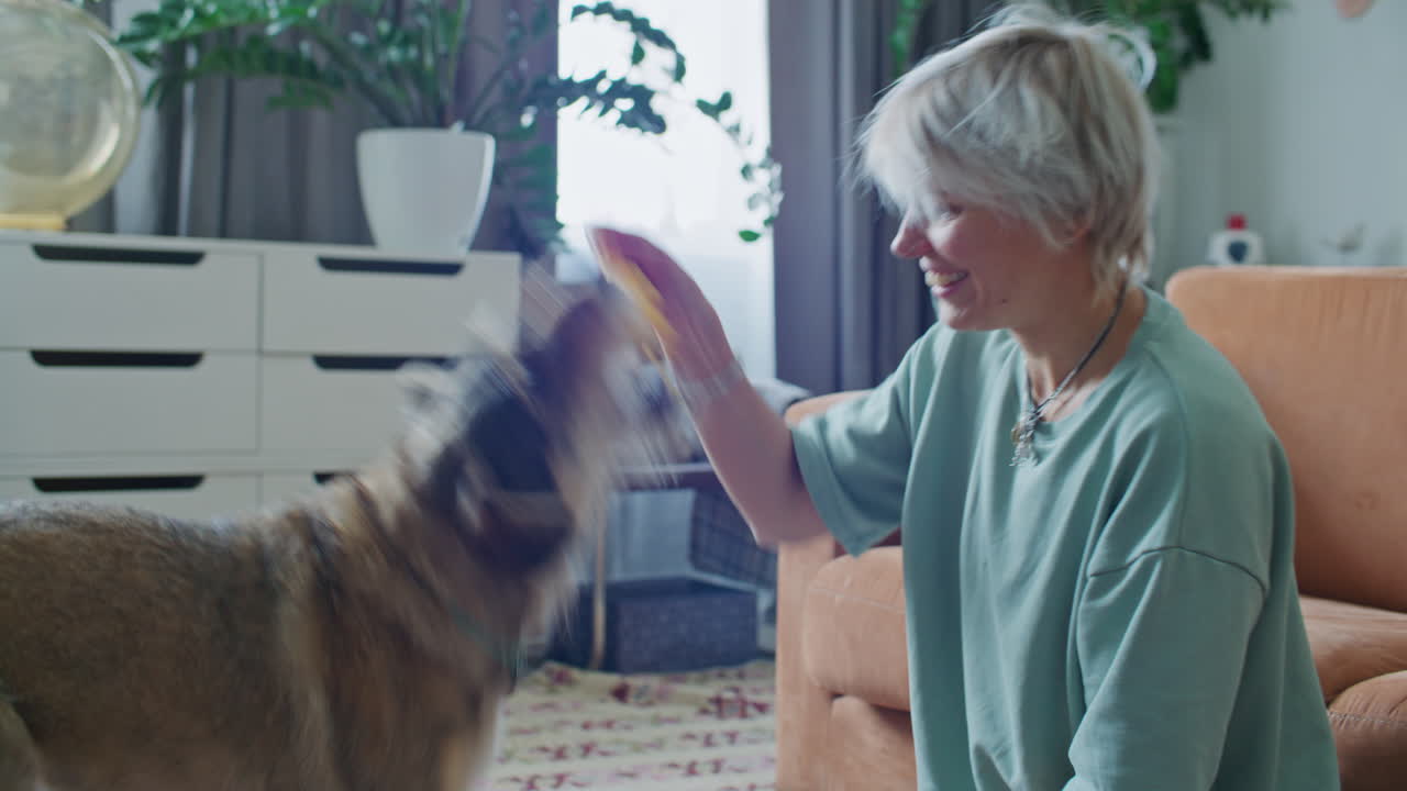 Young Woman Holding Toy and Playing with Energetic Dog at Home