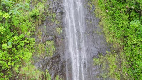 imágenes aéreas en la cara rocosa de la cascada empinada en mao-a cae en la isla hawaiana de oahu las cataratas están alineadas con helechos exuberantes y vegetación de la selva tropical