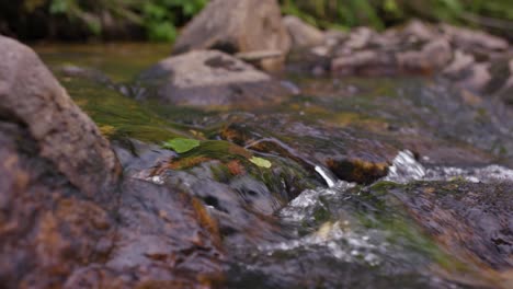 close-up of a stream