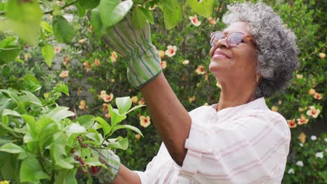 Ältere-Afroamerikanische-Frau-Trägt-Gartenhandschuhe-Und-Schneidet-Bäume-Im-Garten