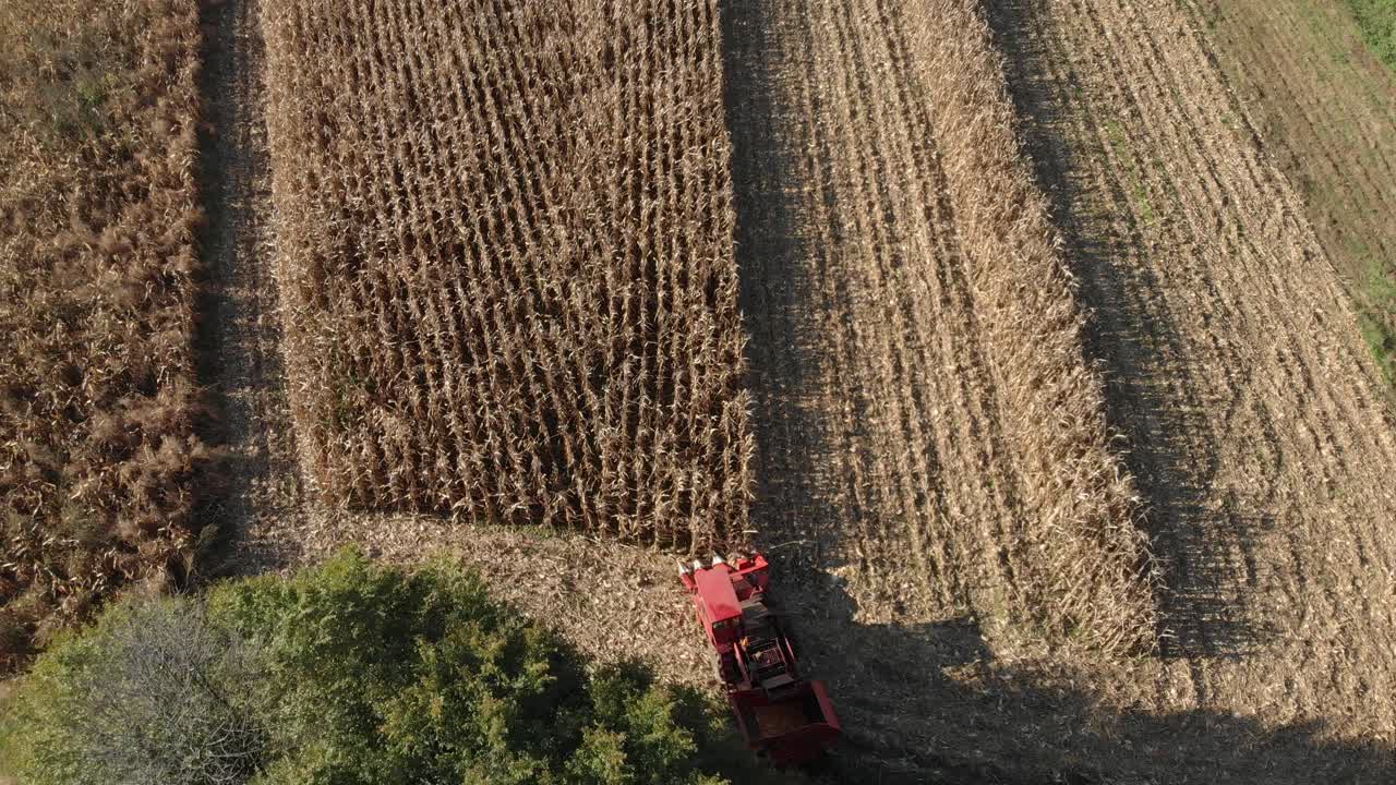 Aerial drone shot of a combine harvester working in a field. Industrial footage on agricultural theme. Agriculture in European Union.