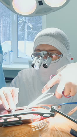 assistant gives forceps to doctor in surgery room. surgeon conducts artery bypass surgery with nurse help in hospital. heart disease treatment