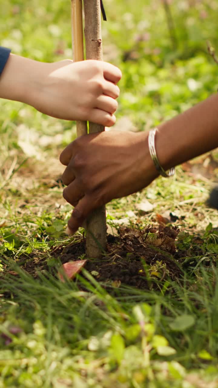 Adult and Child Hands Planting a Small Tree Together