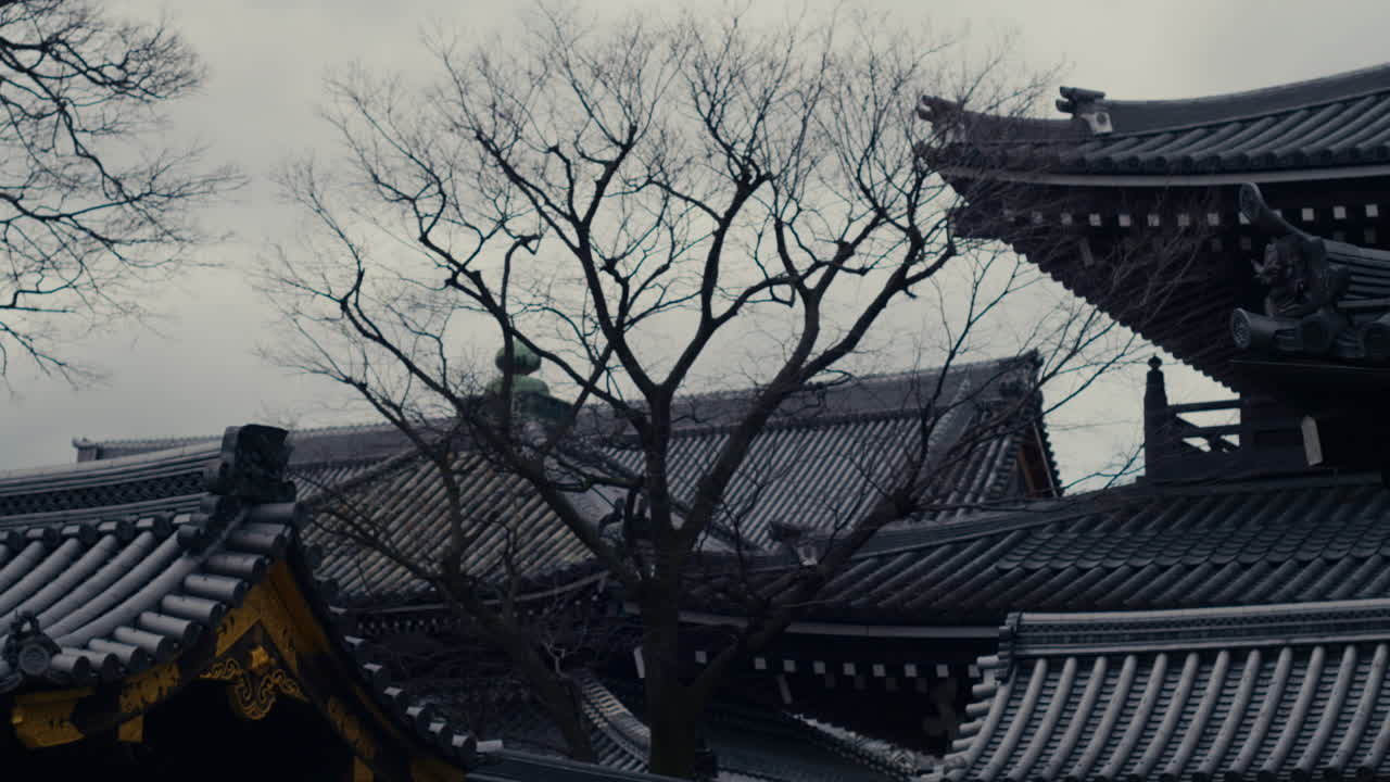 Struttura tradizionale del tetto di un tempio di Kyoto con tegole curve e intelaiatura in legno.