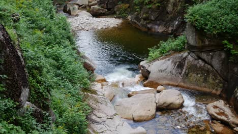 El-Agua-Colorida-Corre-Tranquilamente-Sobre-Las-Rocas-En-Medio-De-Un-Denso-Bosque-Mientras-La-Cámara-Se-Inclina