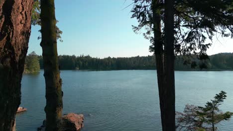 a seascape through arbutus trees in view royal, victoria, canada