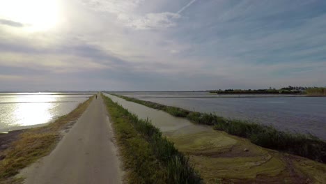 a person biking in a road surrounded by flooded rice fields