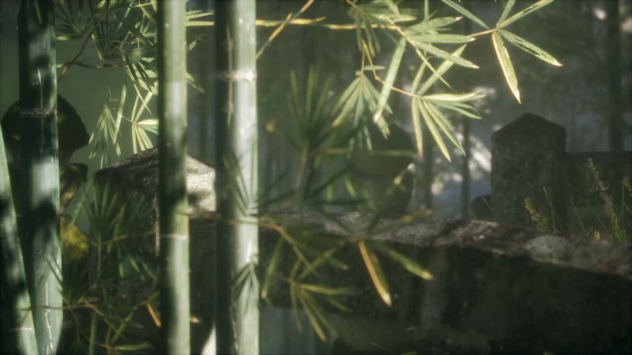 bosque de bambú de japón y hierba verde de prado con luz natural