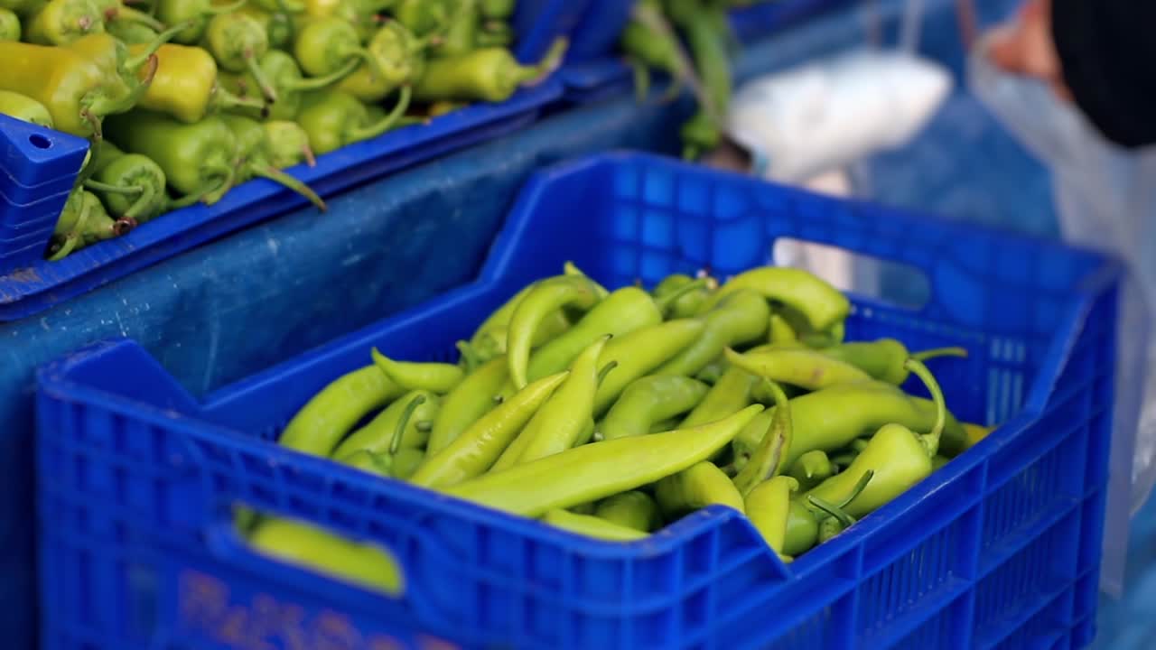 채소 가게 에서 채소 를 구입 하는 것