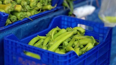 shopping vegetable in greengrocer