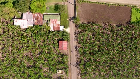 antena arriba hacia abajo sobre campos cultivados de la campiña de moca, república dominicana