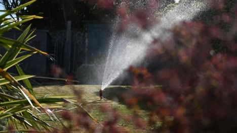 Gartensprinkler-Im-Sonnenlicht-Pflanzen-Im-Vordergrund,-Nahfokus-Und-Wasser-Tropft-Von-Pflanzen