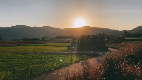 sunset over a rural asian landscape