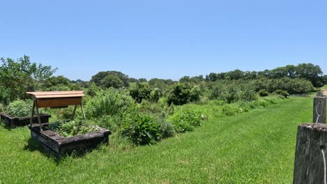 beehive in a peaceful green meadow