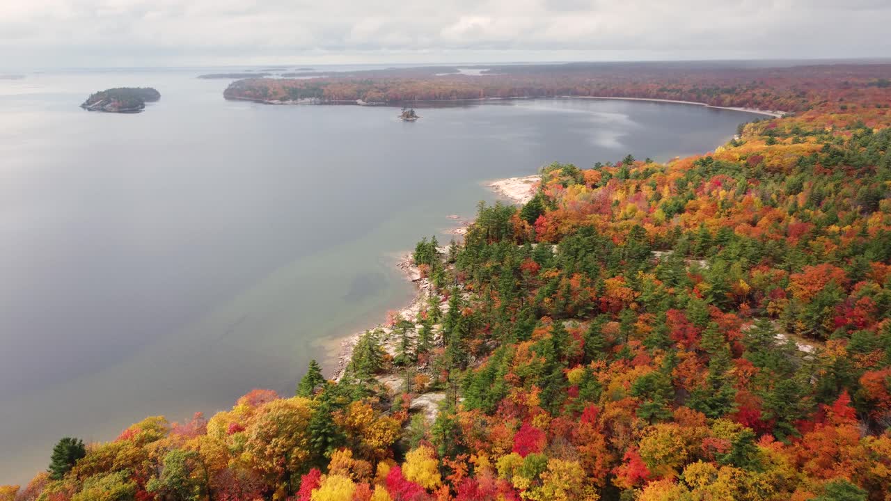 imágenes aéreas de un impresionante lago rodeado por un bosque mixto en vibrantes colores otoñales, capturando la belleza de la naturaleza desde arriba